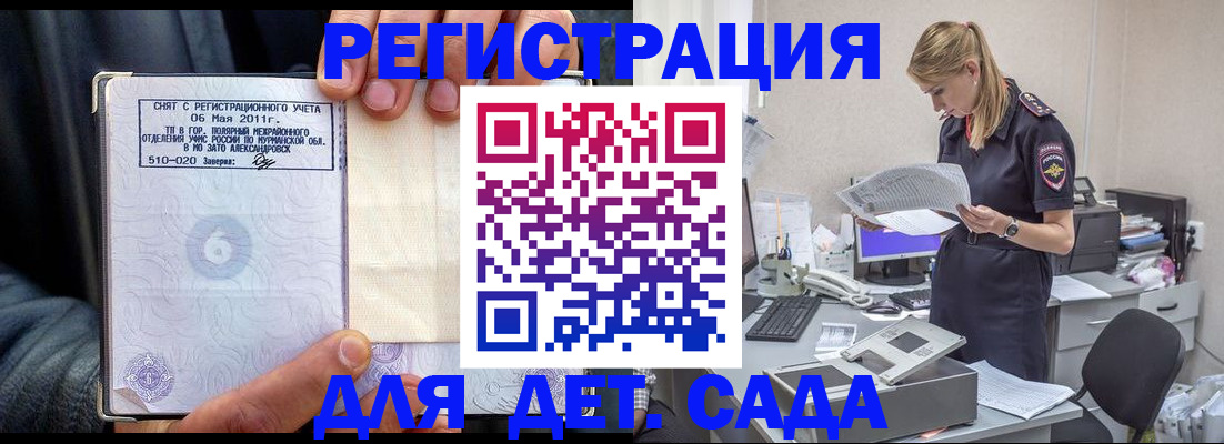 временная регистрация поиск в Палласовке