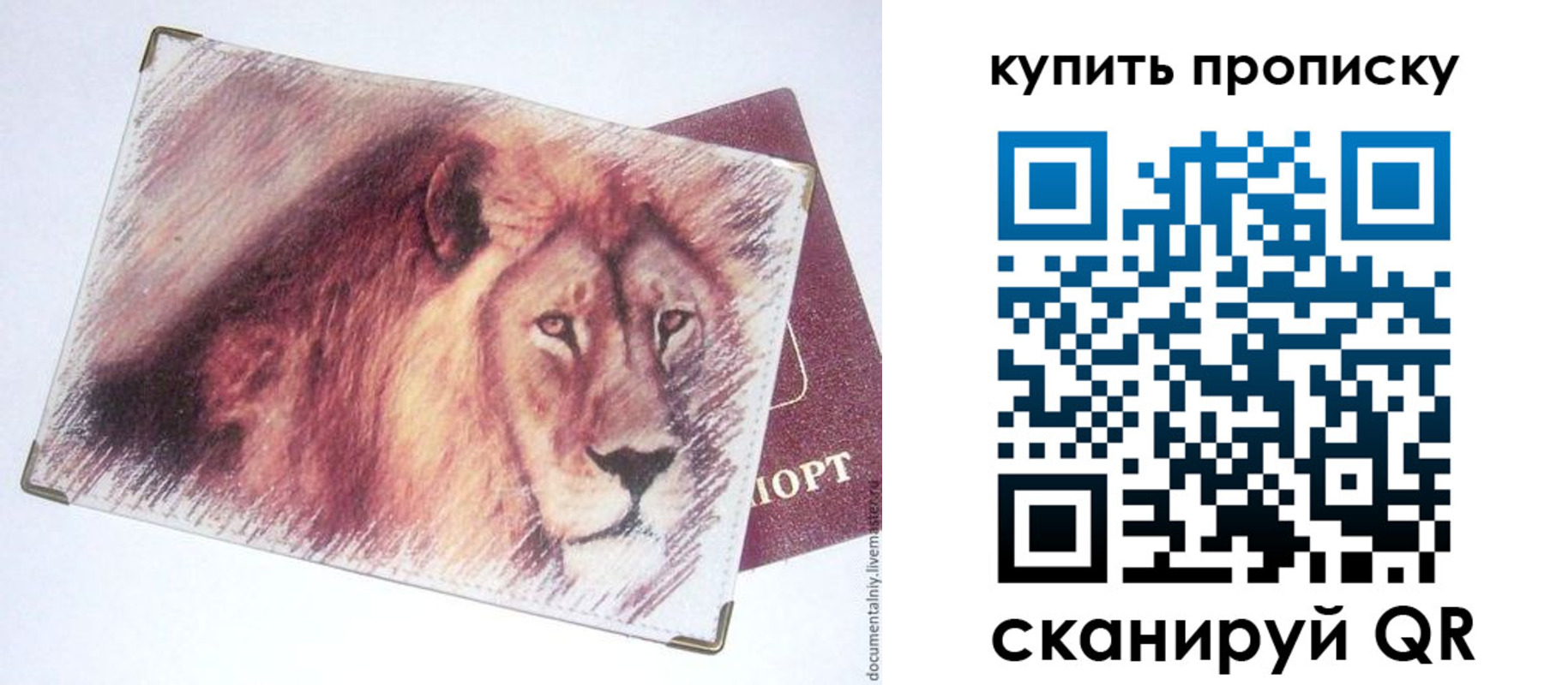 прописка паспорт в Палласовке